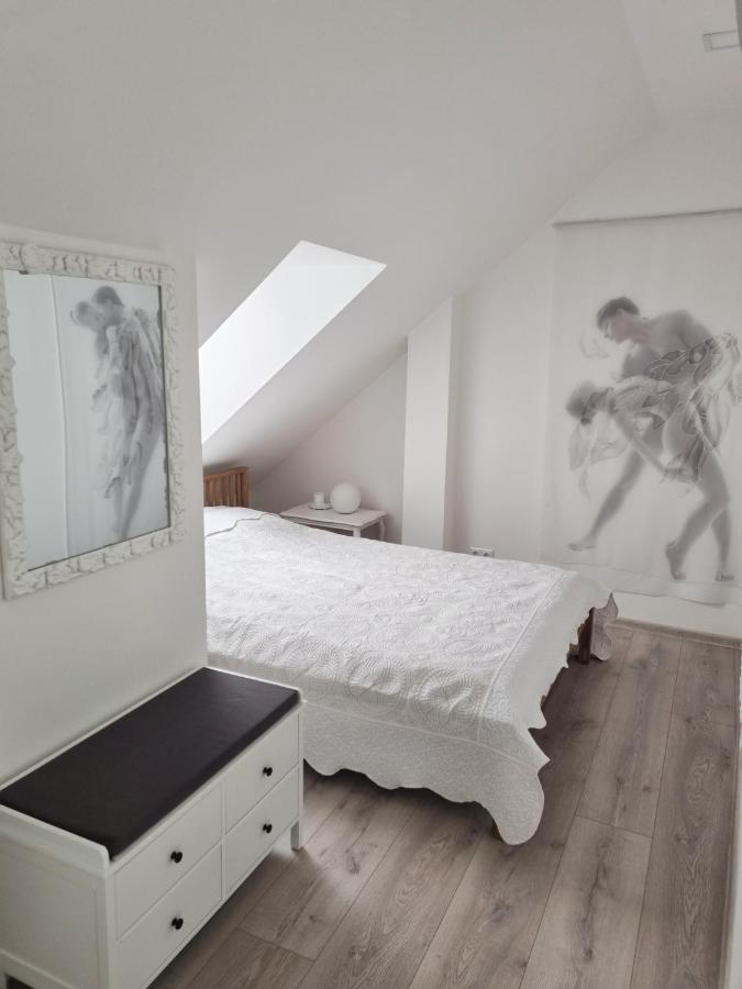 Gallery Balta Apartments Kaunas Extérieur photo